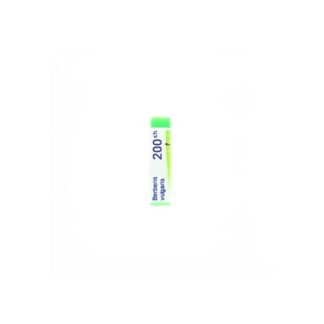 Boiron Berberis Vulg 200Ch Gl 1G