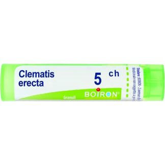 Boiron Clematis Erec 5Ch Gr 4G