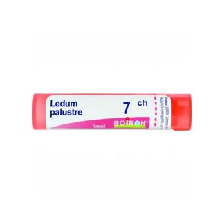 Boiron Ledum Palustre 7Ch Gr 4G