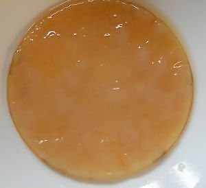 The Kefir Collection Kombucha Scoby, Diverse Misure - Kombucha Starter - 1 Unità (Confezione da 1) - 6377880031