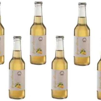 6 bottiglie Infuso di Te Ginger Lemon ml 230