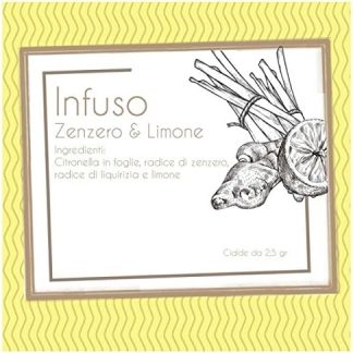 100 Cialde infuso ZENZERO E LIMONE