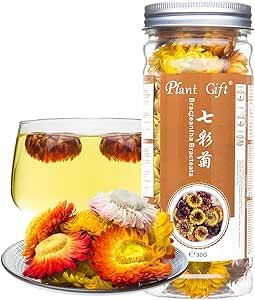Plant Gift Bracteantha bracteata flower 七彩菊 BractAantha Bracteata Flower, Colorato Chrysanthemum Tè Everyight Everyight Skin Care Beauty Anti Fatica Perdere peso 30G / 1.05OZ