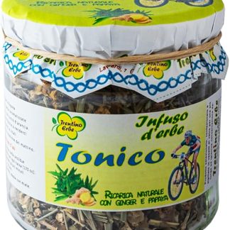 Tisana Infuso Tonica a base di Ginger e Papaya, per l'Attività Fisica