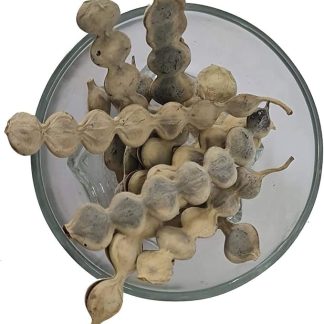 HYD Ba.bul P.hali Acacia Nilotica Ayurve.dic Produ.ct con molteplici Bene.fits - 100 Gm