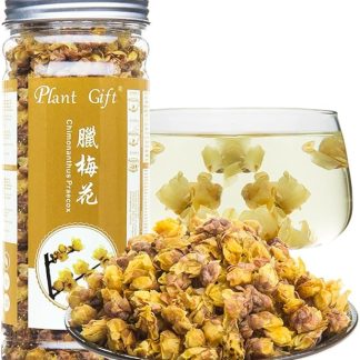 Plant Gift Chimonanthus Praecox Tea 腊梅花 Noonthus Praecox Tè/Lamei/essiccato Wintersweet 30g / 1oz Tè con cicatrici