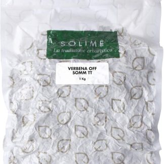 Verbena Officinale Sommità Taglio Tisana - 1Kg - Prodotto made in Italy