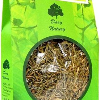 TÈ (ERBA EQUISETO) BIO 100 g - DARY NATURY