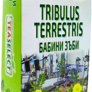 Tè alle erbe Tribulus Terrestris - 20 bustine filtro, sapore puro, tè bulgaro premium, senza additivi, tè per uomini