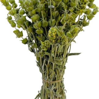 Tè di Montagna Greco Premium Malotira 220g - 1,95Kg 100% Naturale Sideritis Syriaca Malotira (220 grammi)