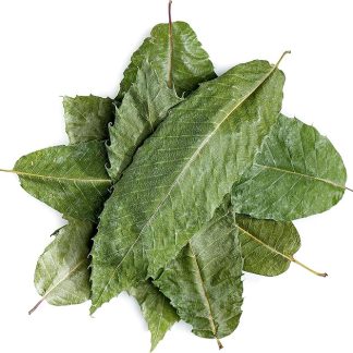 Foglie Castagno Tè Erbe - Tè Alle Foglie Di Castagno