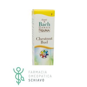 Цветочные капли Guna Bach Chestnut Bud для обучения, 10 мл.