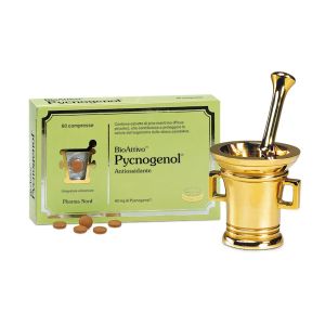 Биоактивный пикногенол, 60 таблеток
