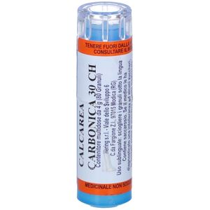 Hering Calcarea Carbonica 80 гранул 30-канальный многодозовый контейнер