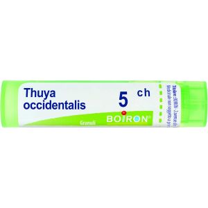 BOIRON THUYA OCCIDENTALIS 05CH МНОГОДОЗОВЫЕ ГРАНУЛЫ