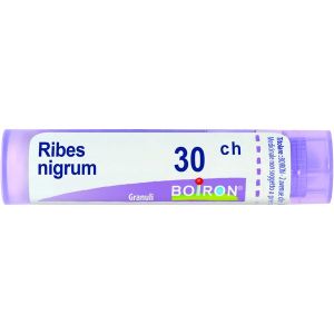 BOIRON RIBES NiGRUM 30CH МНОГОДОЗОВЫЕ ГРАНУЛЫ