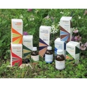 Raemil A1 Лавандовая композиция 100 мл