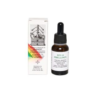 Similia MTS 14 Phellinus Drops Supplement 10 ml