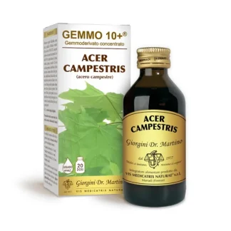 Клен полевой G10+ Acer Campestris Dr. Giorgini 100 мл