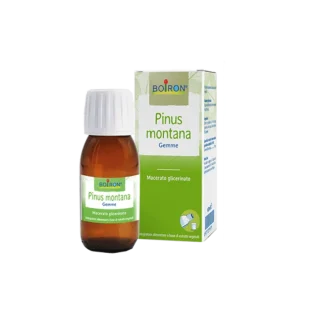 Pinus Montana Gems MG Boiron 60ml