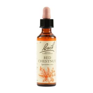 Schwabe Bach Flowers Red 25 Chestnut Drops 20ml