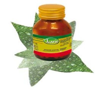 GINKGO 60OPR