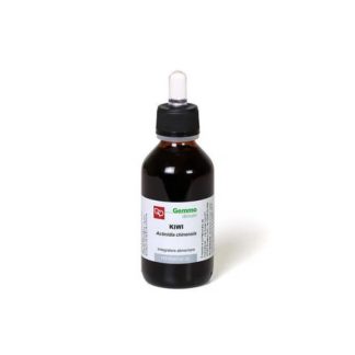 Fitomedical Kiwi MG, 100 ml