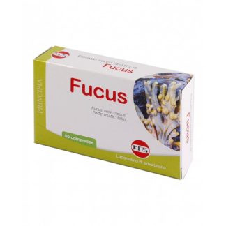 FUCUS ESTR SEC 60CPR