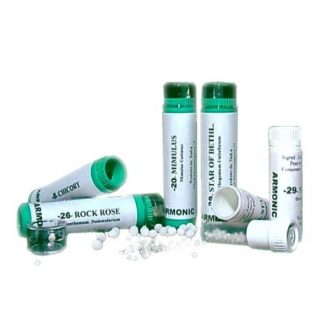 ARMONIC 1 AGRIMONY 70GR