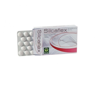 SILCAFLEX 100TAV