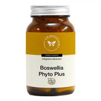 BOSWELLIA PHYTO PLUS 100CPS VEG
