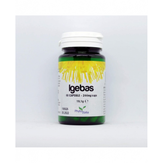 IGEBAS 60CPS