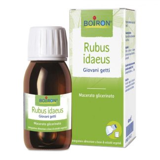 BOIRON Rubus Idaeus ES I 60ml