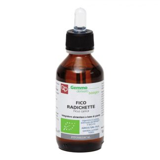 FICO RADICHETTE GD 100ML BIO