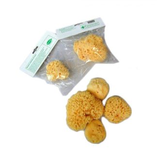 FARMACARE Spugna Naturale Fori Larghi n.7