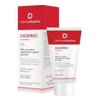 DERMOVIT Gel*Cicatr.30ml